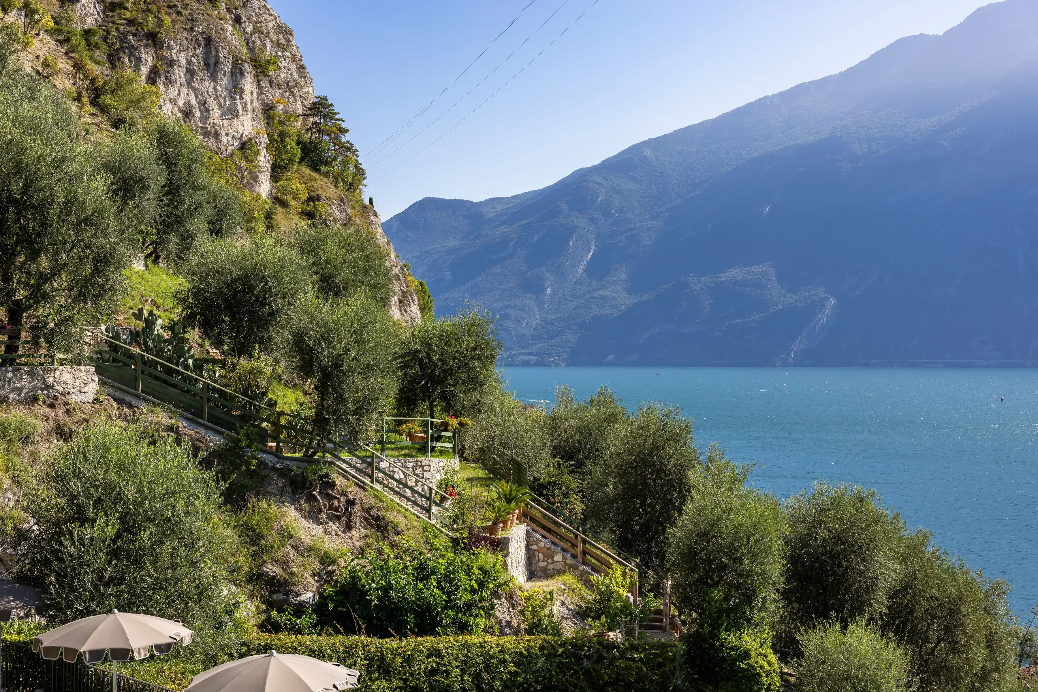 Ścieżka z oliwkami nad jeziorem z widokiem na góry